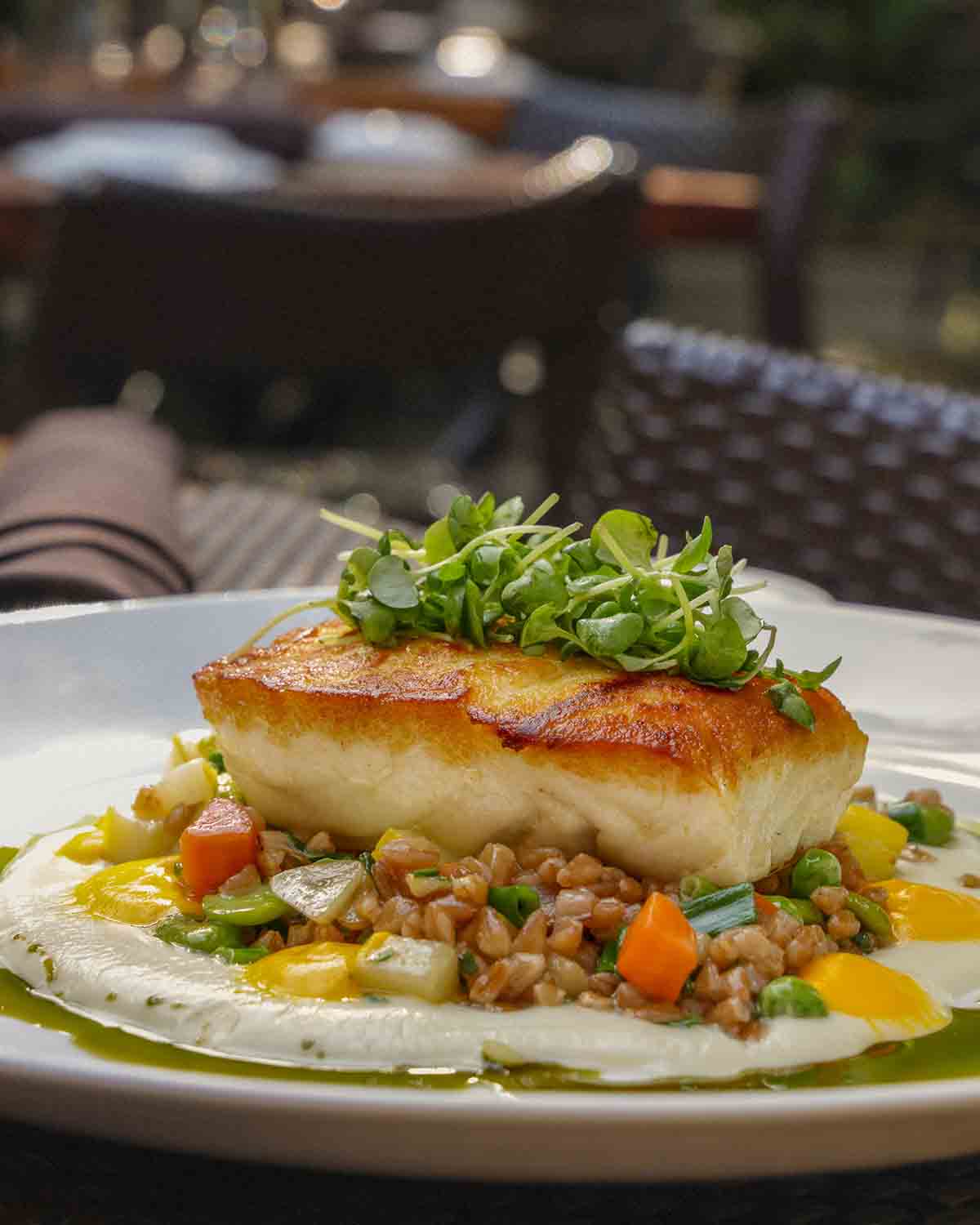 Piccolo Sogno dish
